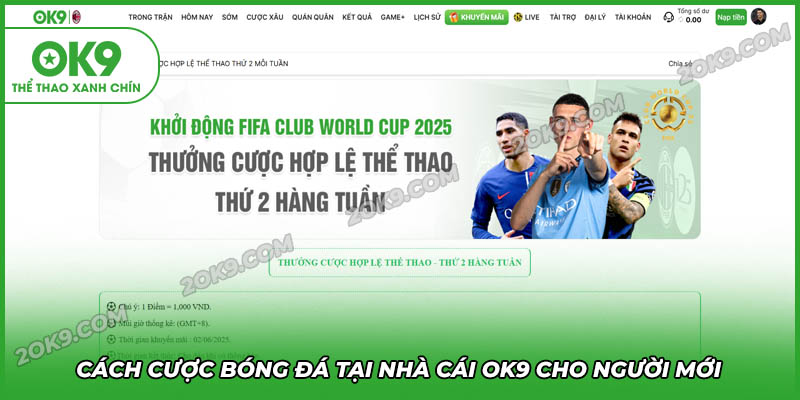 Cách cá cược bóng đá dành cho người mới tại nhà cái OK 9