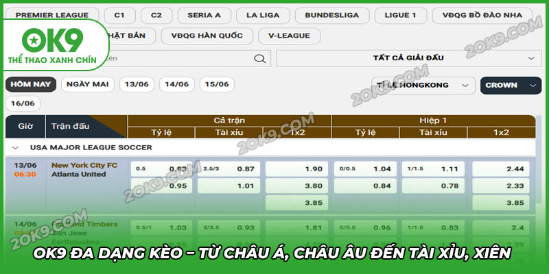 Đa dạng các kèo cược hấp dẫn tỷ lệ kèo cực cao tại OK9
