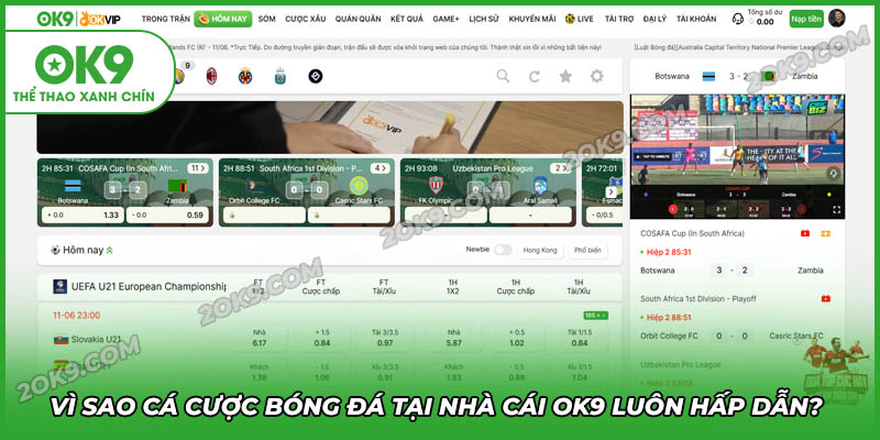 Vì sao cá cược bóng đá OK9 luôn hấp dẫn